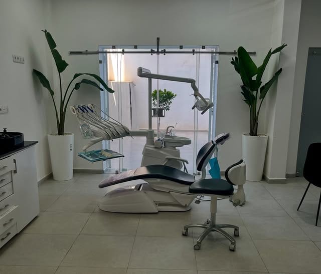 Autre vue de la salle de soins : le fauteuil face à la porte vitrée, un plan de travail à gauche et des plantes vertes de chaque côté.